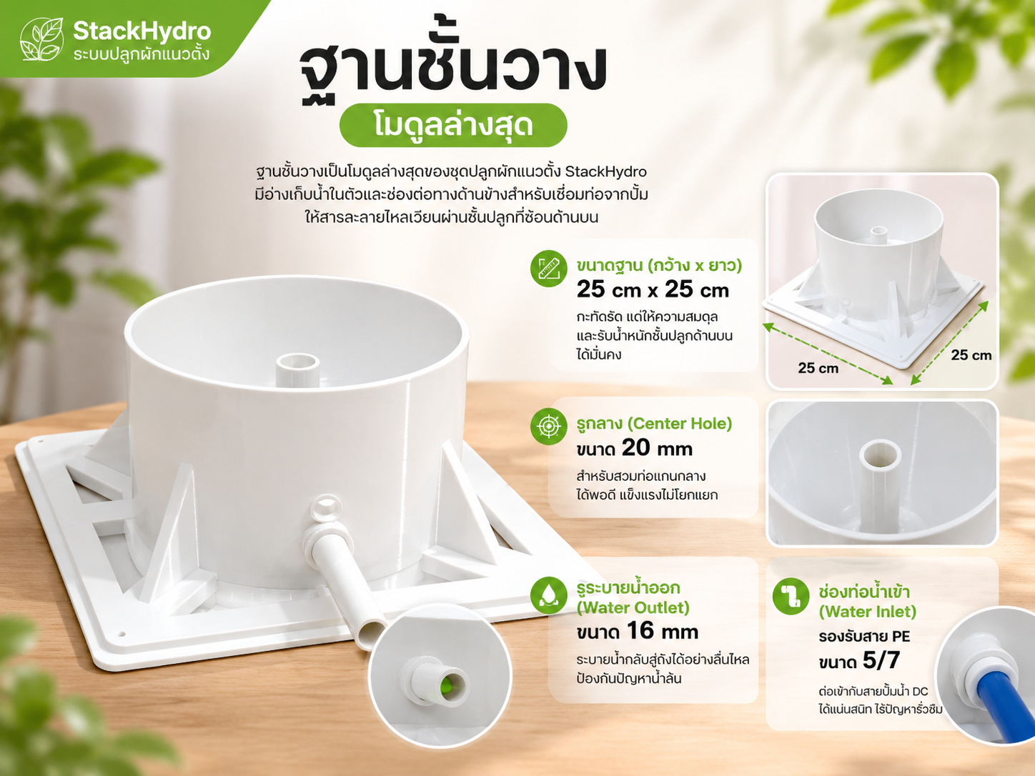 ฐานชั้นวาง